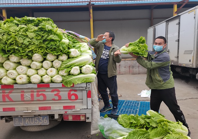 誌廣蘑菇视频动漫版下载免费观看加大“冬儲菜”調運，全力做好保供穩價