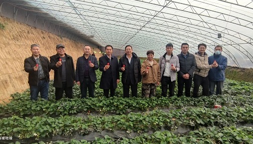 誌廣蘑菇视频动漫版下载免费观看 | 2022年大力發展種植基地，助農民小康、市民健康